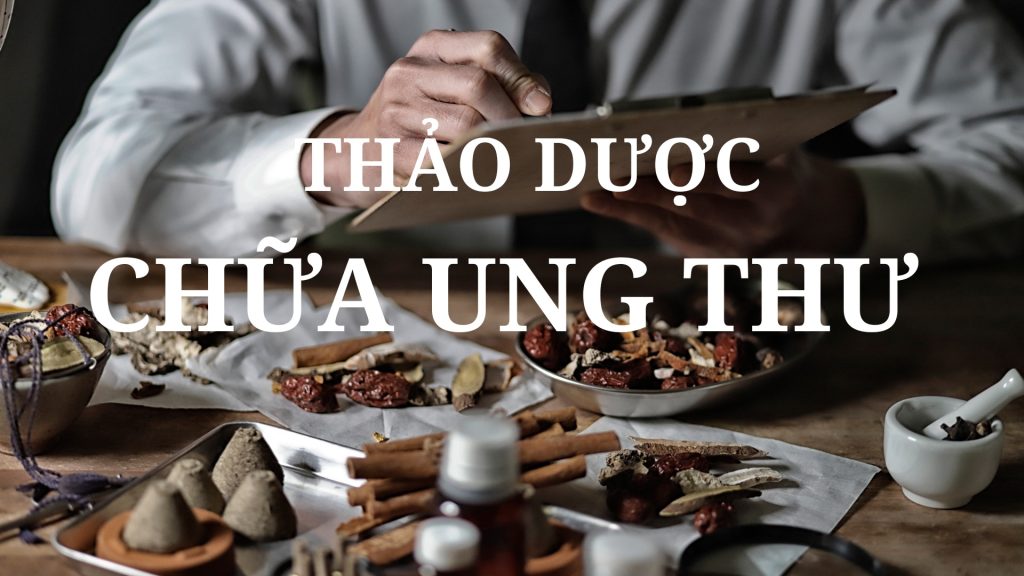 Thảo dược chữa ưng thư