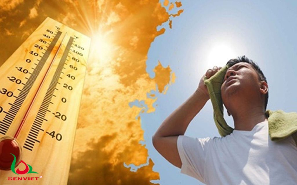 tránh sốc nhiệt vào mùa hè