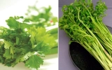 Chữa bệnh với hai loại rau quen thuộc vào dịp Tết